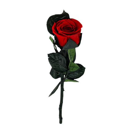 ROSE ARTIFICIAL FLOWER BOX FN045 (1PC)