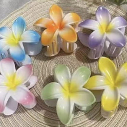 Hawaiian Flower Hair Claw Clip JH5829-41 (12PC)
