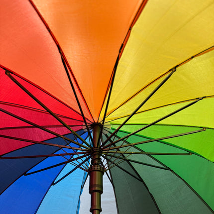 Rainbow 16 Panel Umbrella UM5616 (12PC)