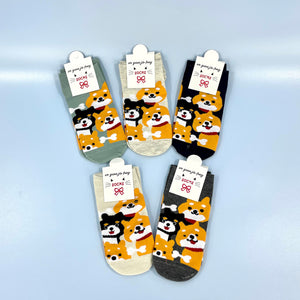 CUTE SHIBA DOG CARTOON SOCKS 3517-2 (12PC)