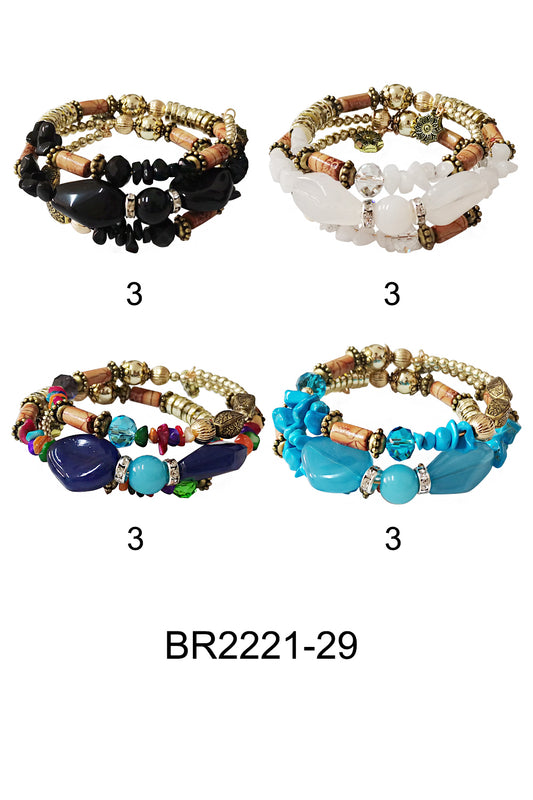 BR2221-29 (12PC)