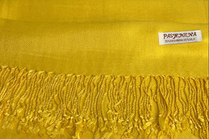 PLAIN PASHMINA (12PC)